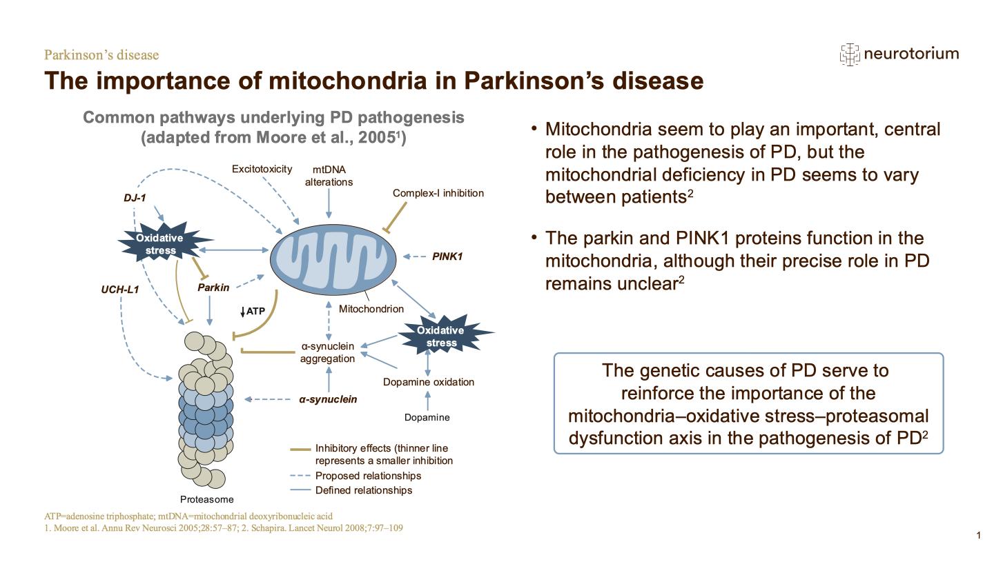Parkinsons Disease – Neurobiology and Aetiology – slide 29